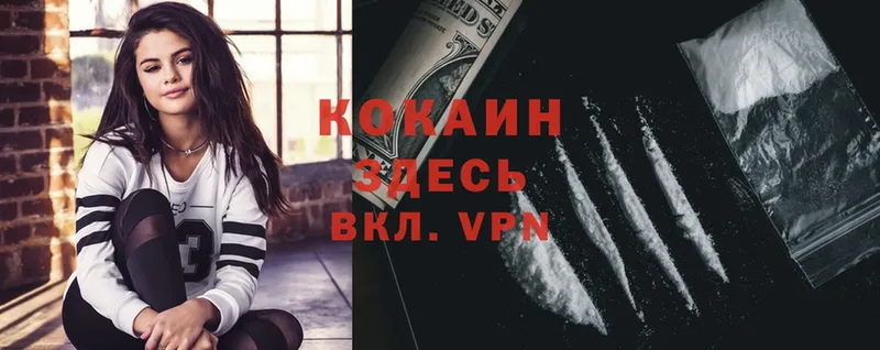 ссылка на мегу зеркало  Инсар  COCAIN Колумбийский 