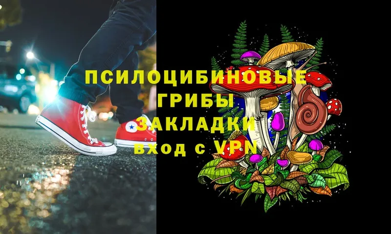 Галлюциногенные грибы Psilocybe  shop формула  Инсар  где можно купить  